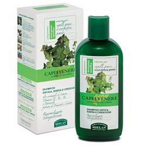 CAPELVENERE SH ORTICA EDERA200