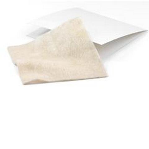 ALGISITE AG MEDIC 10X10CM 10 PEZZI