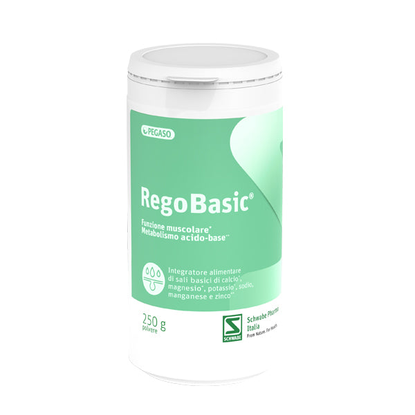 Pegaso Regobasic Polvere 250g
