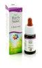 CHICORY GUN GOCCE 10ML