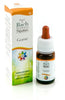 GORSE GUN GOCCE 10ML