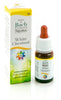 WHITE CHEST GUN GOCCE 10ML