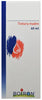 HYPERICUM PERFOR 60ML TM