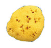 SPUGNA NATURALE FORI L 10/11CM 7
