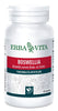 BOSWELLIA SERRATA 60 CAPSULE 400MG