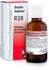RECKEWEG R28 GOCCE 22ML