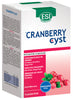 Esi Cranberry Cyst 16 Pocket Drink