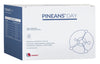 Pineans Day 30 Buste