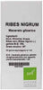 RIBES NIGRUM MG10% GOCCE 100ML