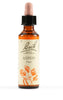 Fiori Di Bach Aspen 20ml
