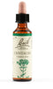 Fiori Di Bach Centaury 20ml