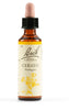 Fiori Di Bach Cerato 20ml
