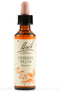 Fiori Di Bach Cherry Plum 20ml