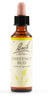 Fiori Di Bach Chestnut Bud 20ml
