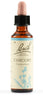 Fiori Di Bach Chicory 20ml