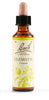 Fiori Di Bach Clematis 20ml