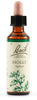 Fiori Di Bach Holly 20ml