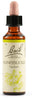 Fiori Di Bach Honeysuckle 20ml