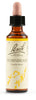 Hornbeam Bach Orig 20ml