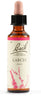Fiori Di Bach Larch 20ml