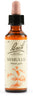Fiori Di Bach Mimulus 20ml