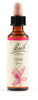 Fiori Di Bach Oak 20ml