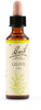 Fiori Di Bach Olive 20ml