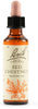 Fiori Di Bach Red Chestnut 20ml