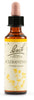 Fiori Di Bach Sclerantus 20ml