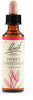 Fiori Di Bach Sweet Chestnut 20ml