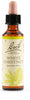 Fiori Di Bach White Chestnut 20ml