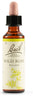 Fiori Di Bach Wild Rose 20ml