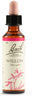 Fiori Di Bach Willow 20ml