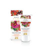 BIANCO D'AMBRA CREMA MANI&UNGHIE