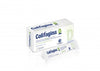 COLIFAGINA D 12 BUSTE 15ML