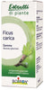 Boiron Ficus Carica Gemme Macerato Glicerinato 60ml