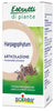 Boiron Harpagophytum Estratto Idroalcolico 60ml
