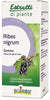 Boiron Ribes Nigrum Macerato Glicerinato 60ml