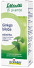 GINKGO BILOBA EI 60ML
