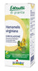 HAMAMELIS VIR BO EI 60ML INTIMO