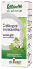 Boiron Crataegus Oxyacantha Macerato Glicerinato 60ml