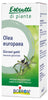OLEA EUROPAEA MG 60ML INTIMO
