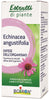 Boiron Echinacea Angustifolia Estratto Idroalcolico 60ml