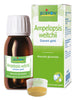 AMPELOPSIS WEI MG 60ML INTIMO