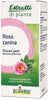 Boiron Rosa Canina Macerato Glicerinato 60ml