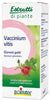 VACCINIUM VITIS MG 60ML INTIMO