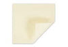 MEDICAZIONE ANTIMICROBICA ASSORBENTE IN FIBRE GELIFICANTI CON SOLFATO DI ARGENTO EXUFIBER AG+ 10X10 CM 10 PEZZI