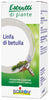Seve De Bouleau Boiron 60ml