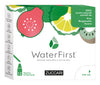 WATER FIRST KIWI-BERGAMOTTO-GUAVA 12 STICK PACK