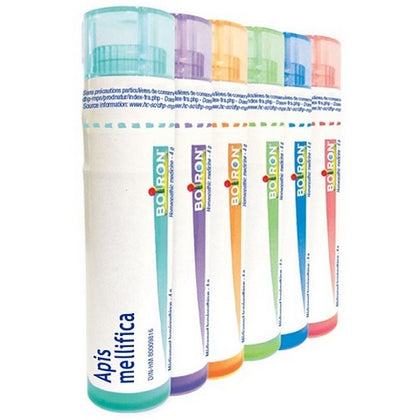 APIS MELLIFICA 7CH GR